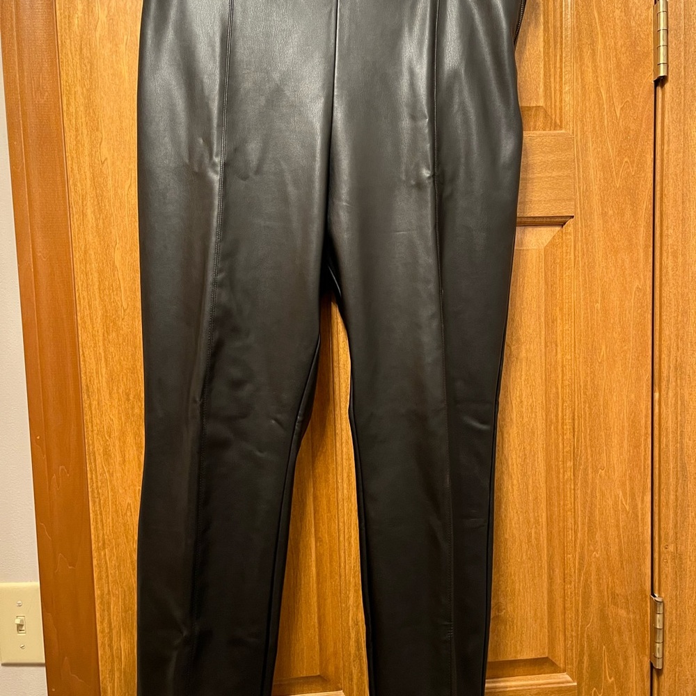 Zara faux leather pants. Really cute only worn 2 times.